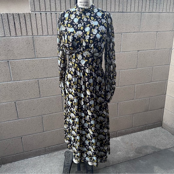 ZARA | Black Floral Sheer Fall Maxi Dress - Picture 1 of 7